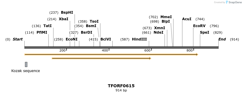 280124_map