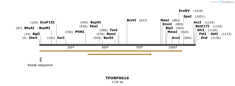280127_map