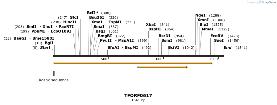 280130_map