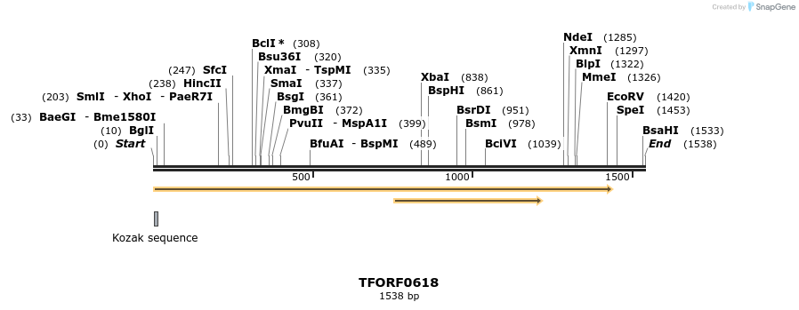 280133_map