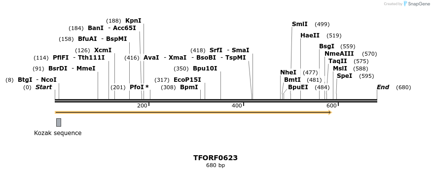 280136_map