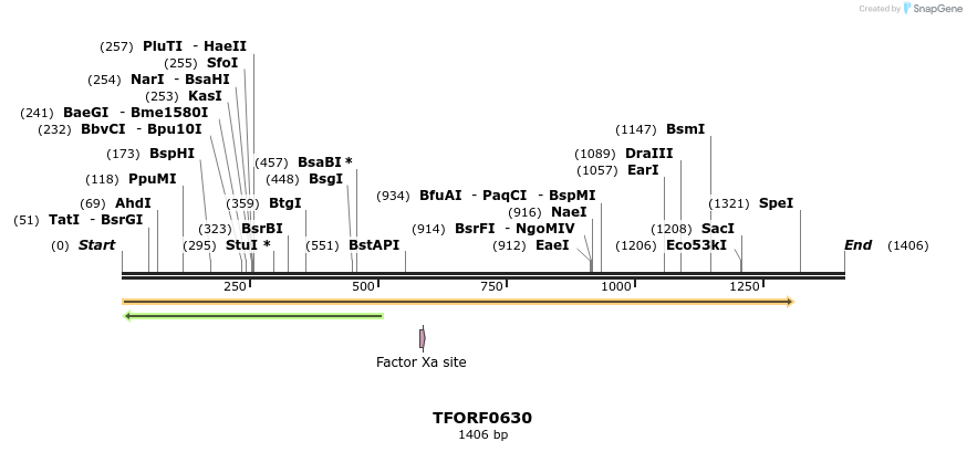 280142_map