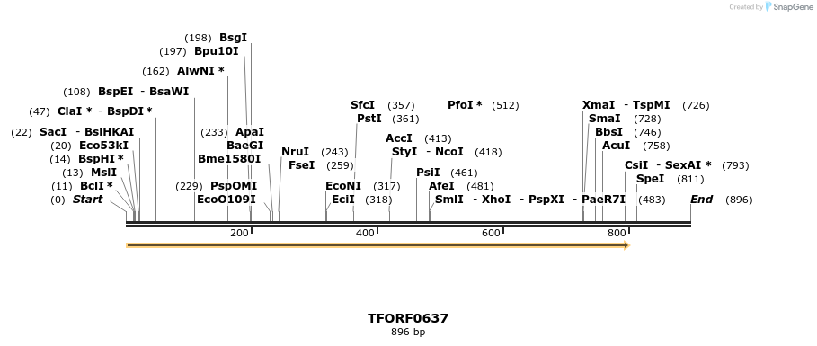 280145_map