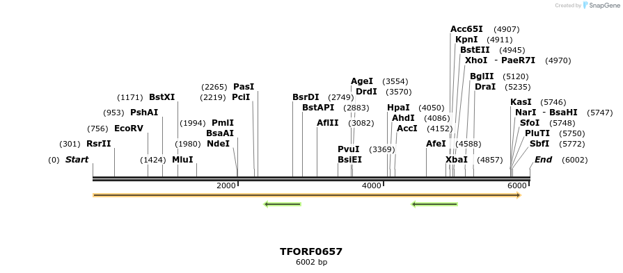 280148_map