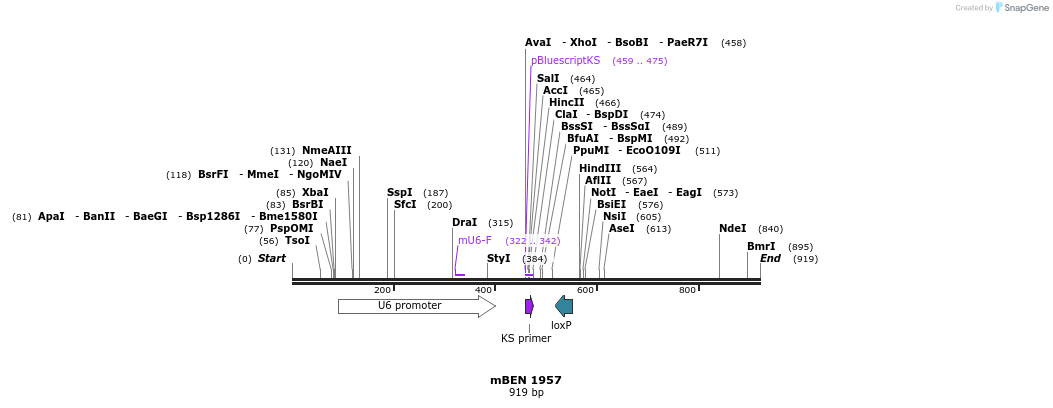 28015_map