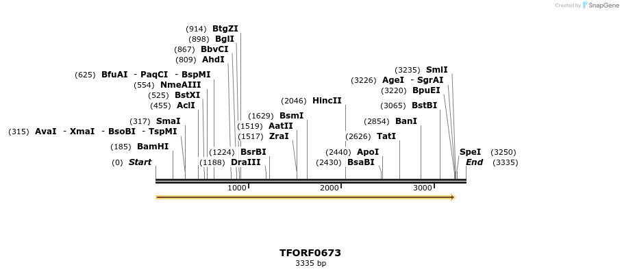 280157_map