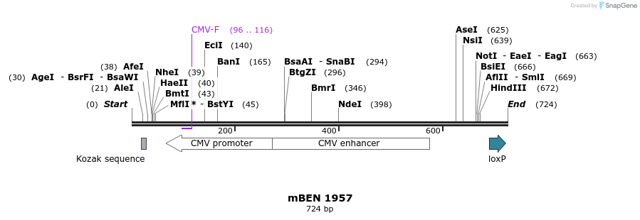 28016_map