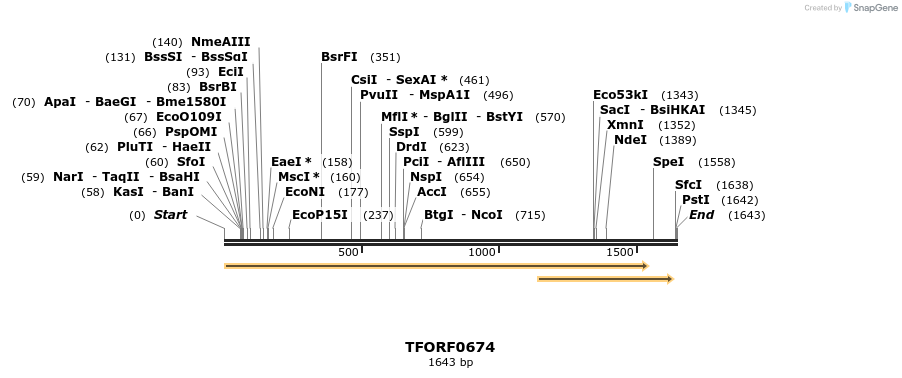 280160_map
