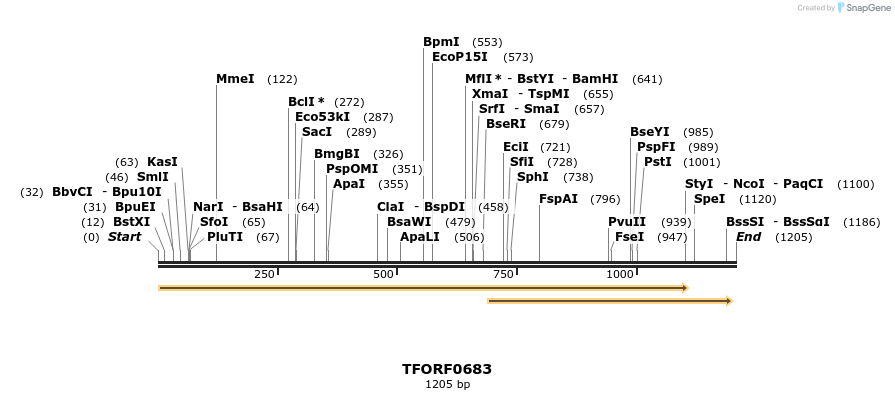280163_map