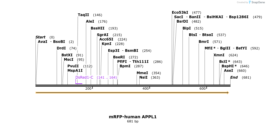 28017_map