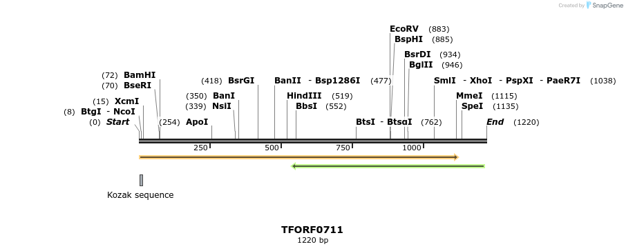 280172_map