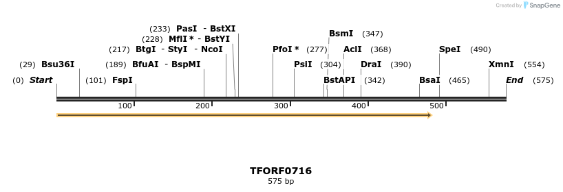 280175_map