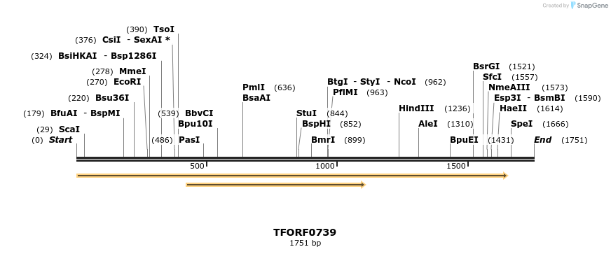 280181_map