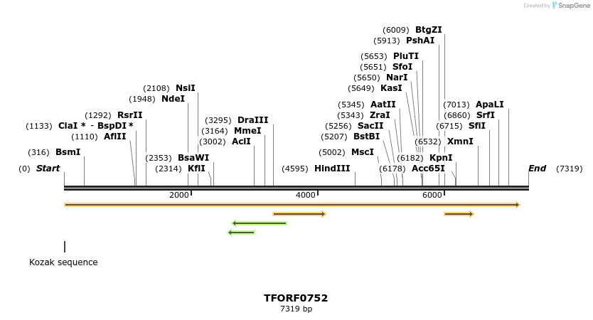 280187_map
