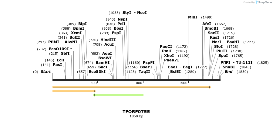 280190_map