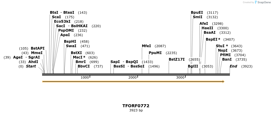 280196_map