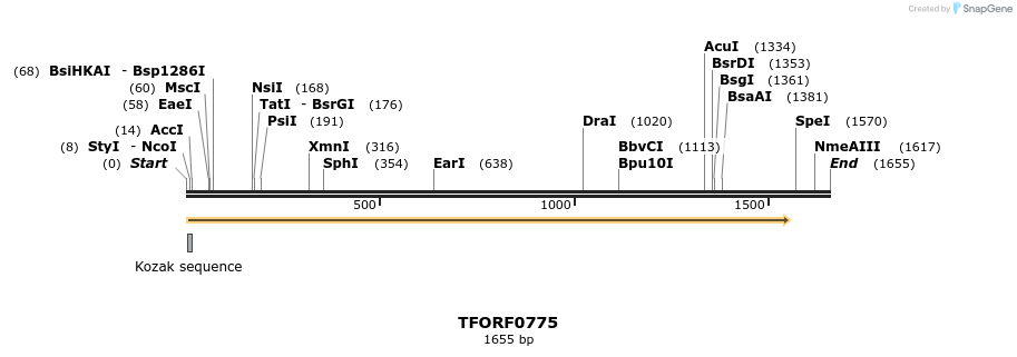 280205_map