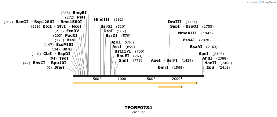 280208_map