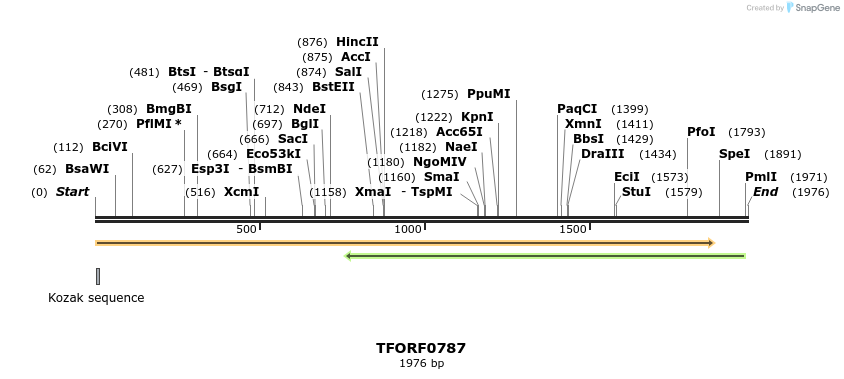 280211_map