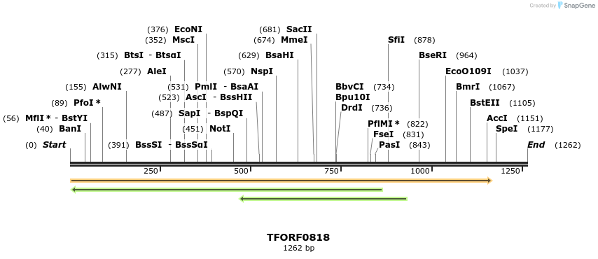 280220_map