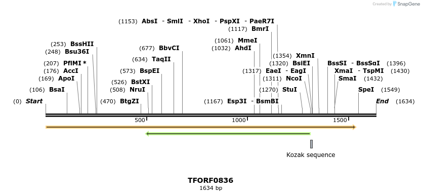 280226_map