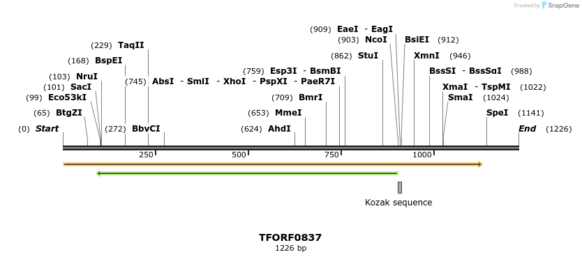 280229_map