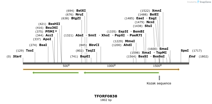 280232_map