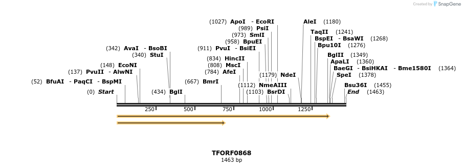 280238_map