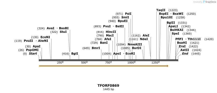 280241_map