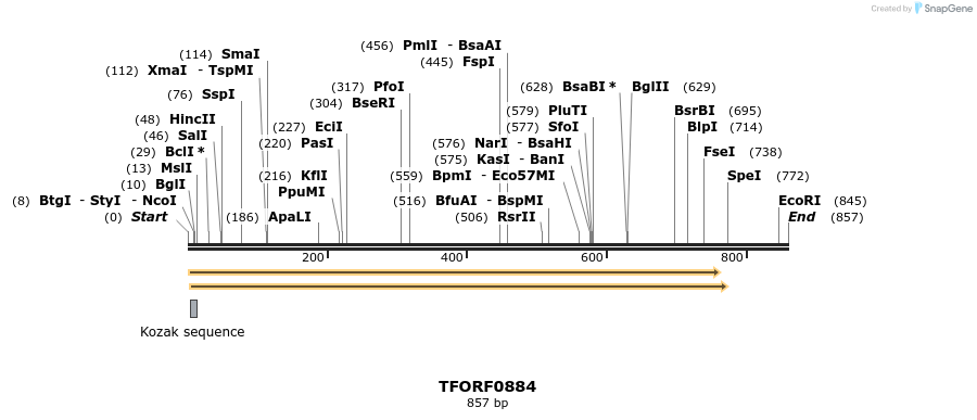 280244_map