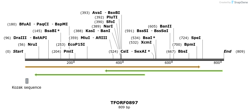 280259_map