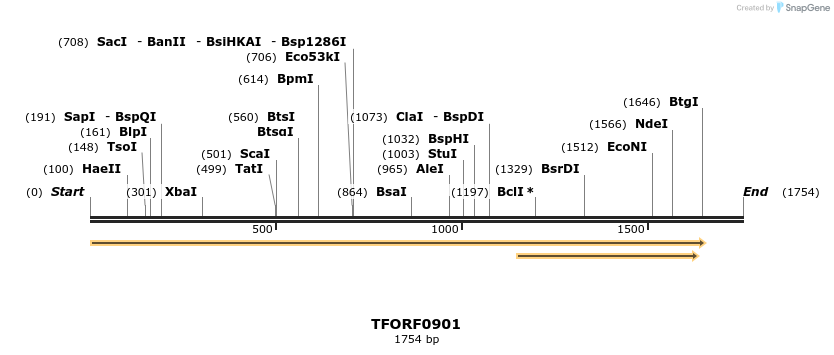 280262_map
