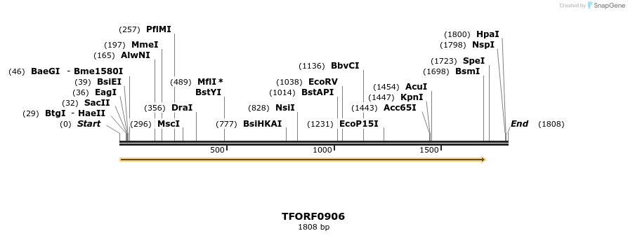 280265_map