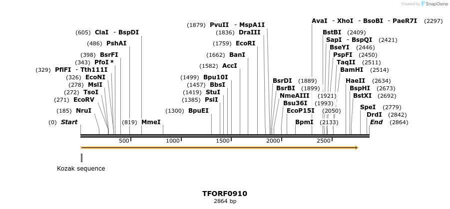 280268_map
