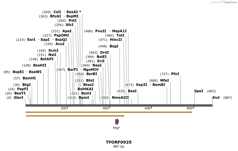 280271_map