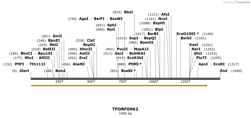 280274_map