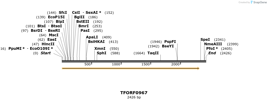 280277_map