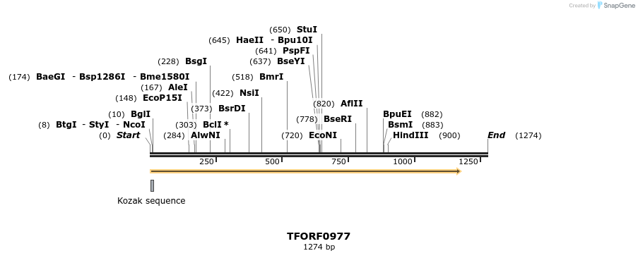 280280_map