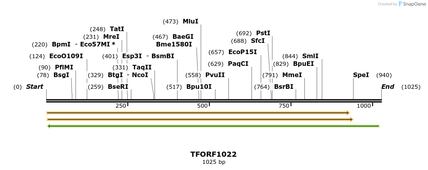 280289_map
