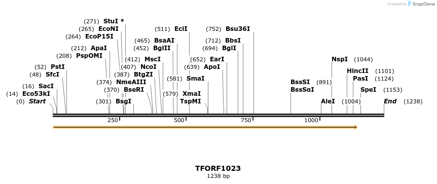 280292_map
