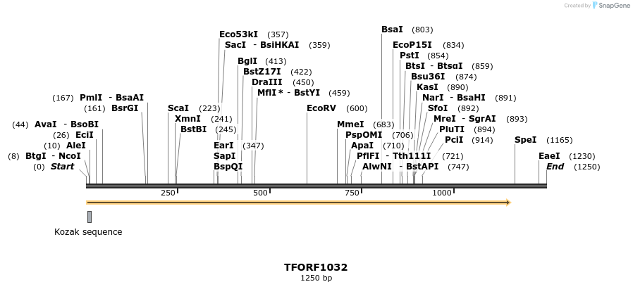 280295_map