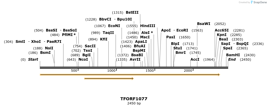 280301_map