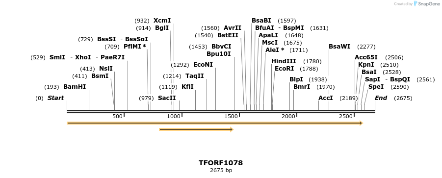 280304_map