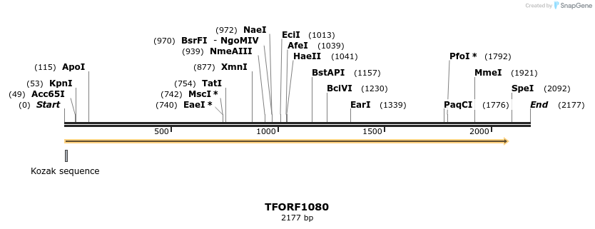 280307_map