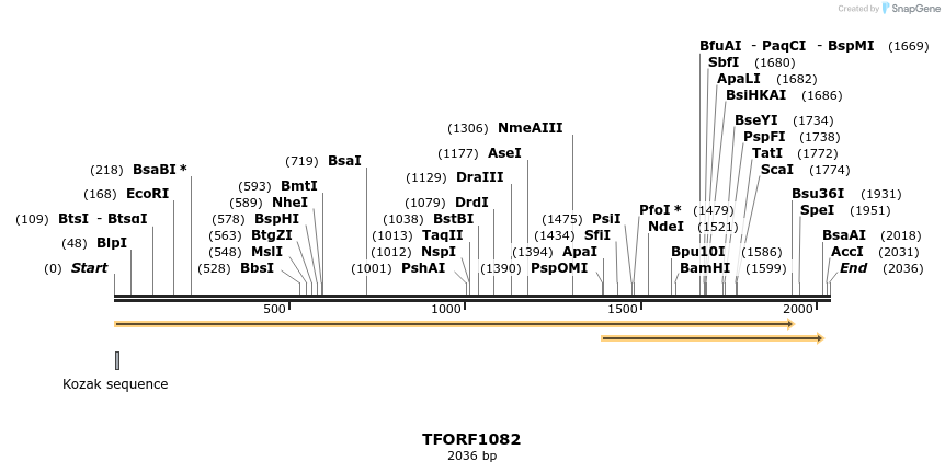 280310_map