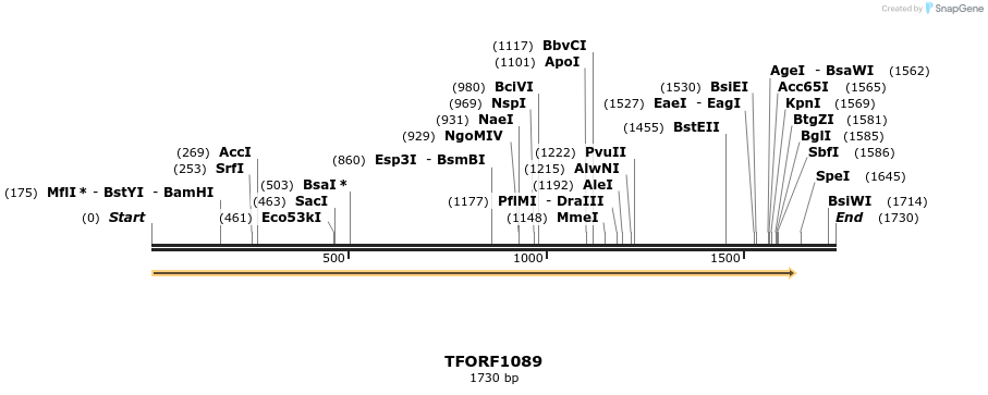 280316_map
