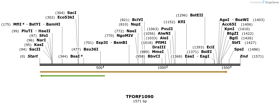 280319_map