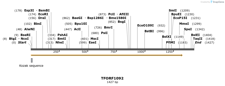 280322_map