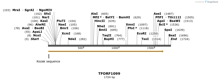 280325_map