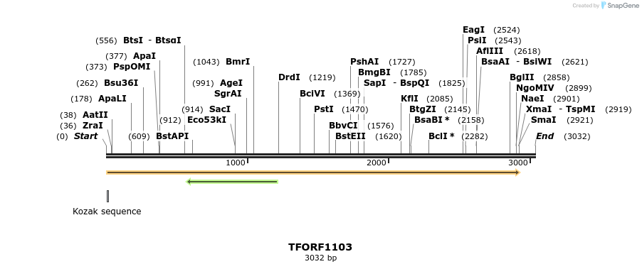 280328_map
